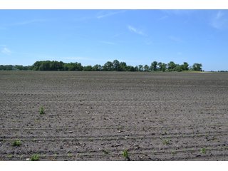 <b>PRICE REDUCED: $5,900 per acre</b><br>
This property offers productive tillable land along with two wooded areas.  Much of the larger woods near the road is on a ridge.  Investigate this area for a potential beautiful homesite as well as for hunting and recreational opportunities. <br>
<b>156.9+/- </b>Total Acres | <b>145.83+/-</b> Tillable Cropland Acres per FSA | <b>10+/-</b> Wooded Acres - 156.9+/- Acres For Sale - Cropland, Woods for Hunting/Recreational & Potential Building Sites